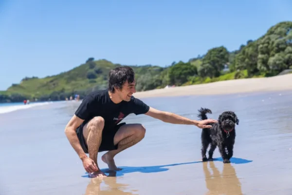 Black T-Shirt - Men - Image 3